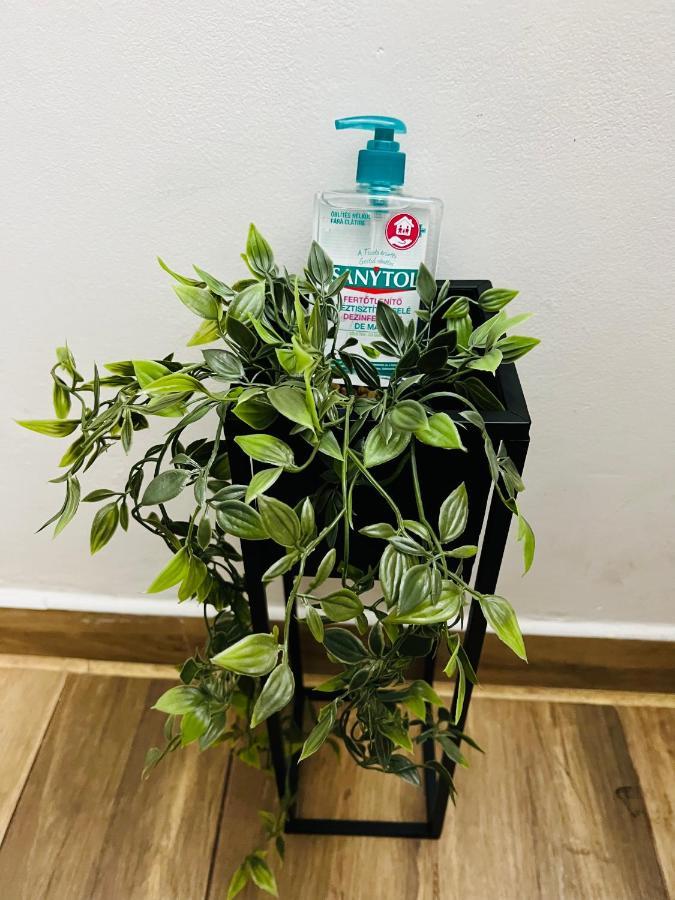 Appartamento Altheda Living Tineretului E8 Suceava Esterno foto