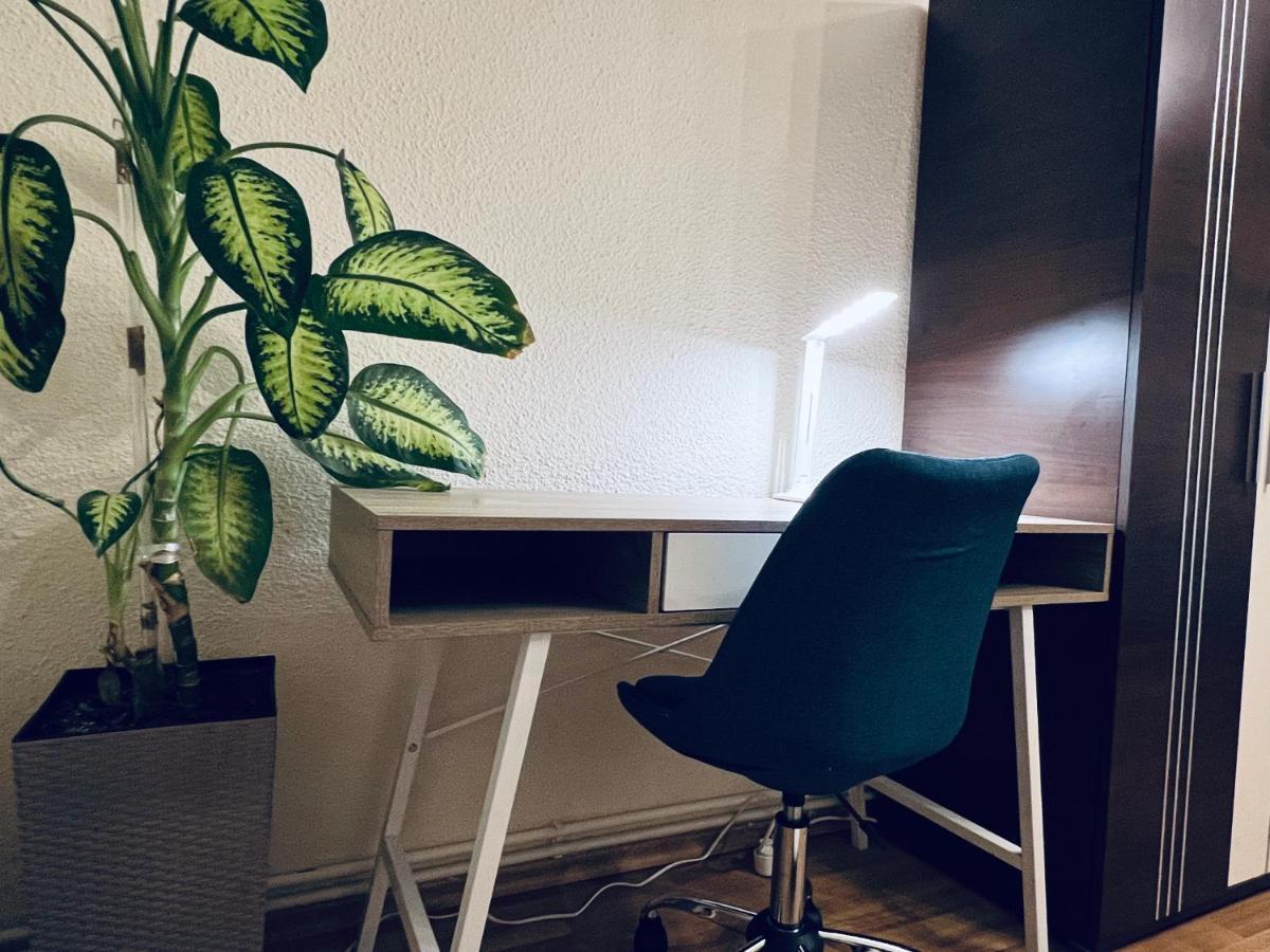 Appartamento Altheda Living Tineretului E8 Suceava Esterno foto